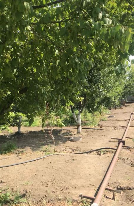 Земельный участок