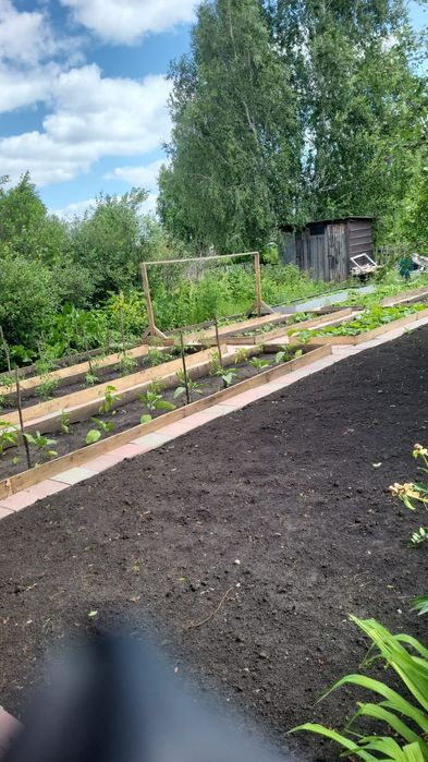 Продам дачу Ромашка