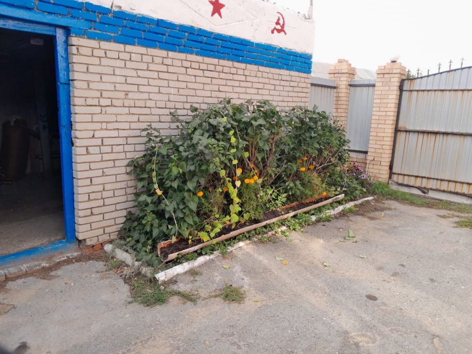 Продам дом с.Аулиеколь