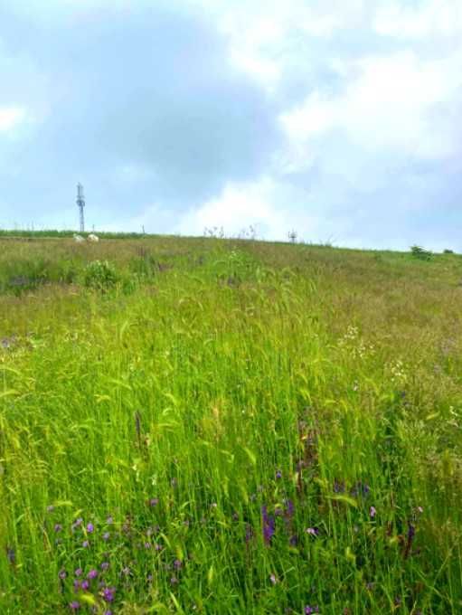 Продава се Парцел в с. Дивотино, Област Перник - 1138 кв.м за 8 €/кв.м - Снимка #2