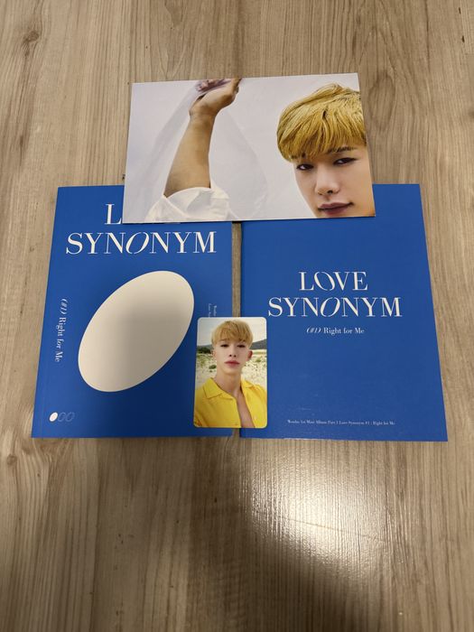 Wonho Love Synonym албум