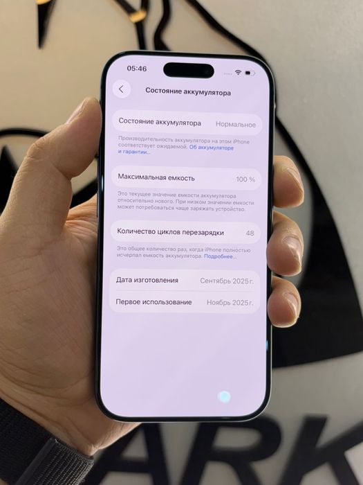 17 про 256 гб 100%