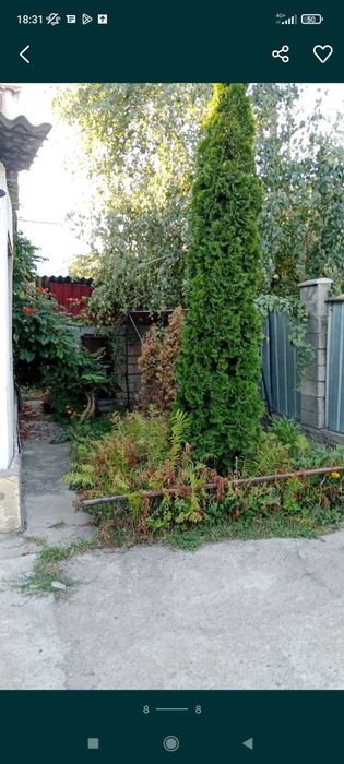 Продам дом срочно