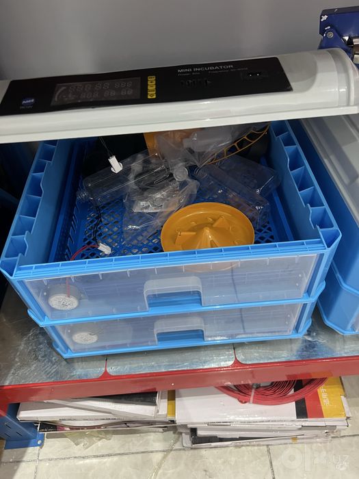 MINI INCUBATOR  zamonaviy ajoyib xitoy maxsuloti