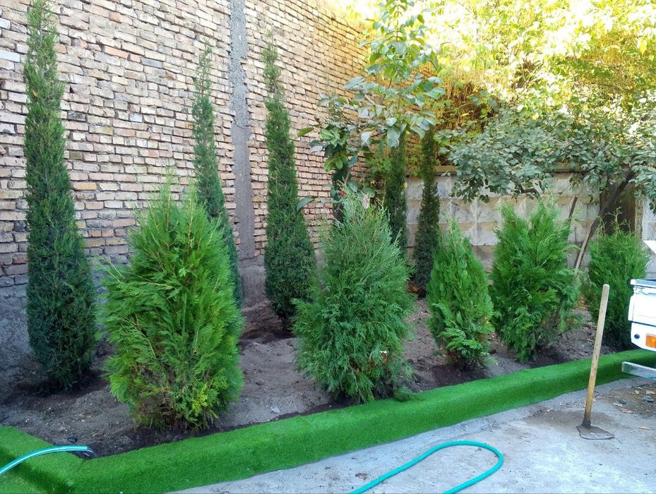 Archa gul kesish gazon ekish tayor gazon bosish archa gul ekish xat xi