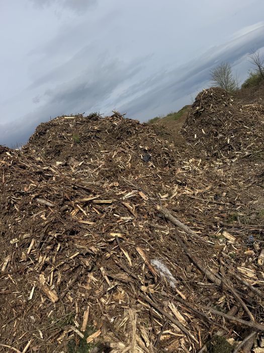 Inchiriem tocator vegetal / crengi / biomasa / lemn / deseuri