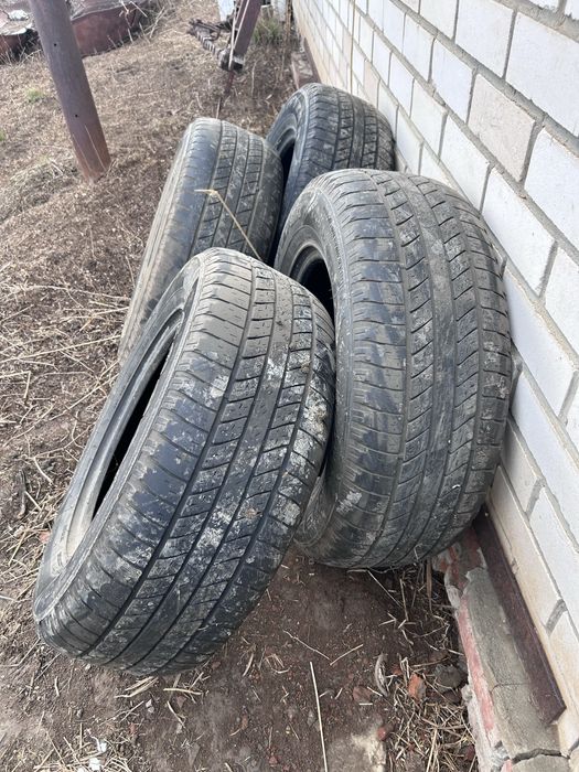 летние шины good year