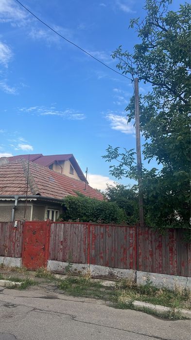 Teren Buzau 23 august