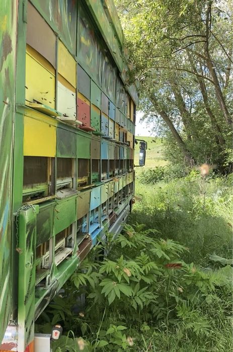 Mercedes Atego 815 Omologat Apicol