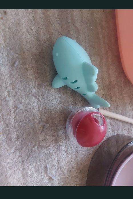 Litiera,  accesorii pisici