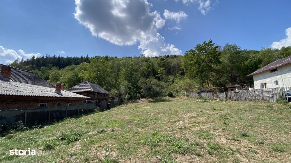 Teren 4000 mp intravilan loc. Aninoasa, jud Arges. Comision 0%