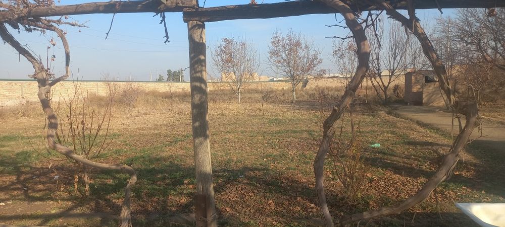 Yer kadastor qilinga