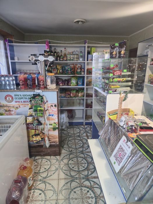 Продам дом магазином
