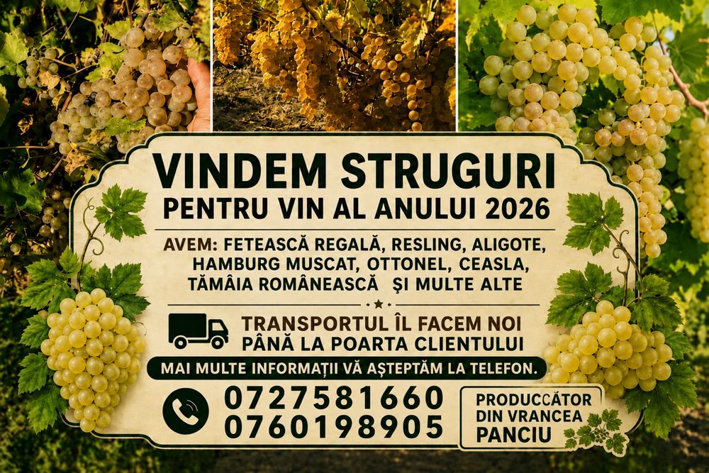 Vand struguri de vin producator de 12 hectare asiram transopt la domic