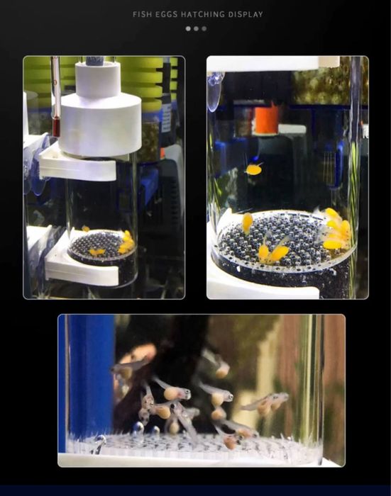 Сотилади Инкубатор для Цыхлид