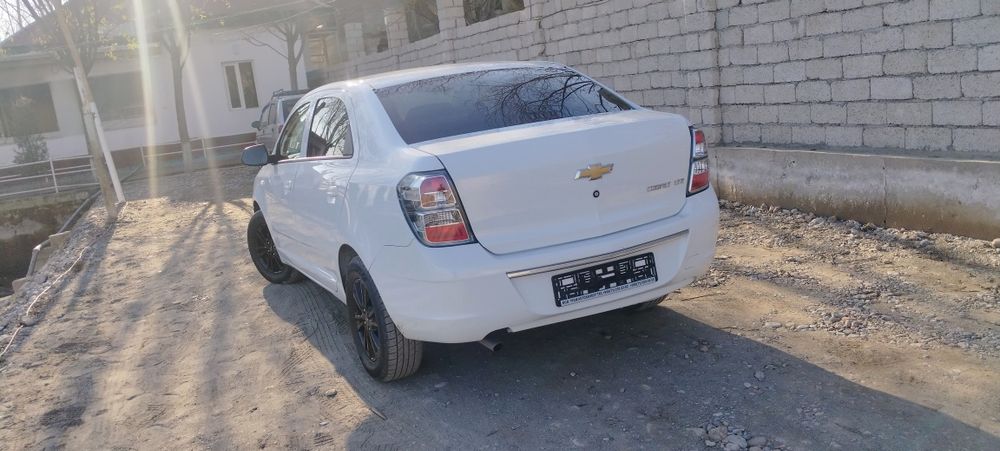 Cobalt Midnight 2025