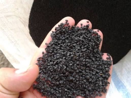 Продам семена лука