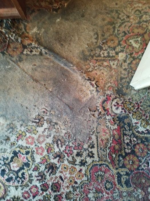 Професионално почистване на домове и офиси