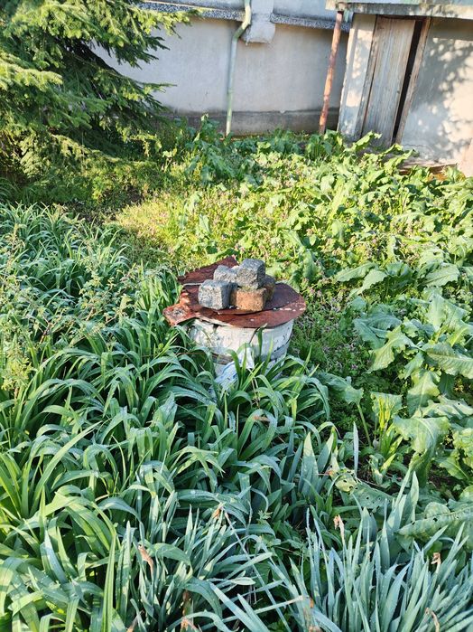 Продава се Къща в Силистра, Център - 40 кв.м за 402 €/кв.м - Снимка #9