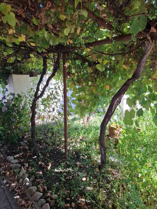 Продава се Къща в София, Модерно предградие - 50 кв.м за 1600 €/кв.м - Снимка #8