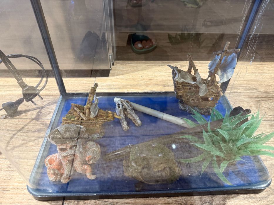 Аквариум за рибки с пълна система