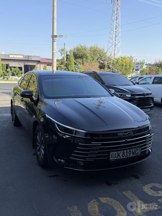 Byd chazor 55 km 2024 yil