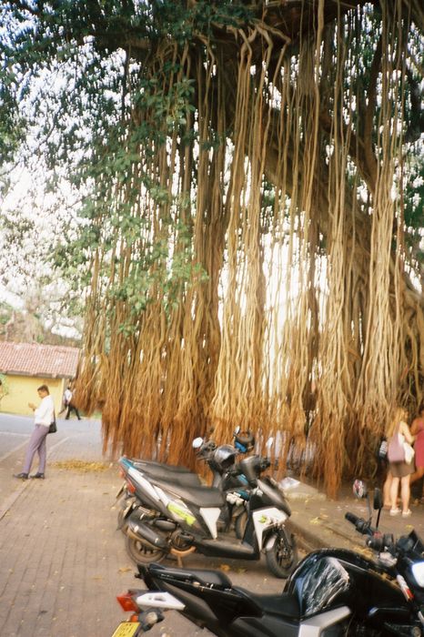 Olympus XA плёночная фотокамера