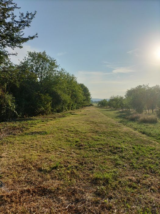 Teren Boldești-Scăeni