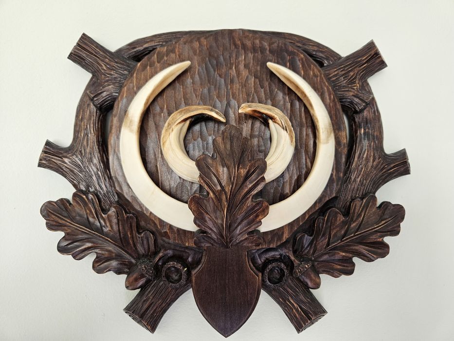 Трофей от диво прасе. Зъби. Глиган.