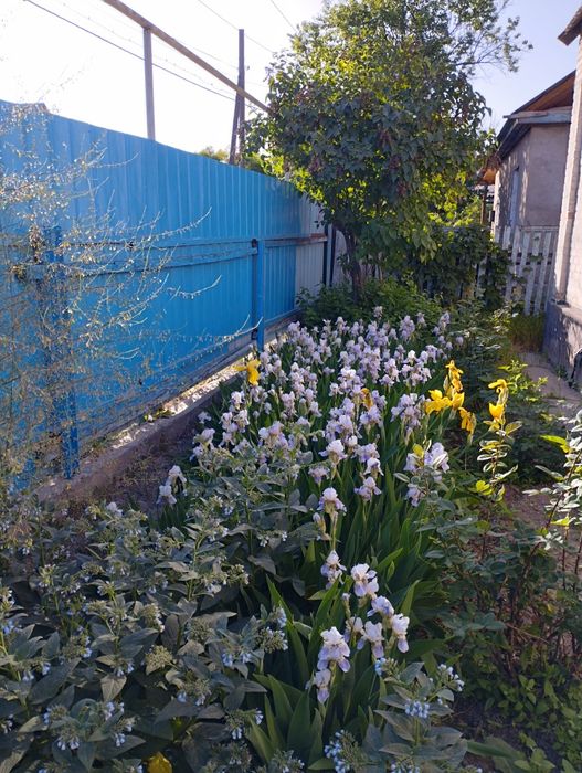 Продается большой дом с мебелью .