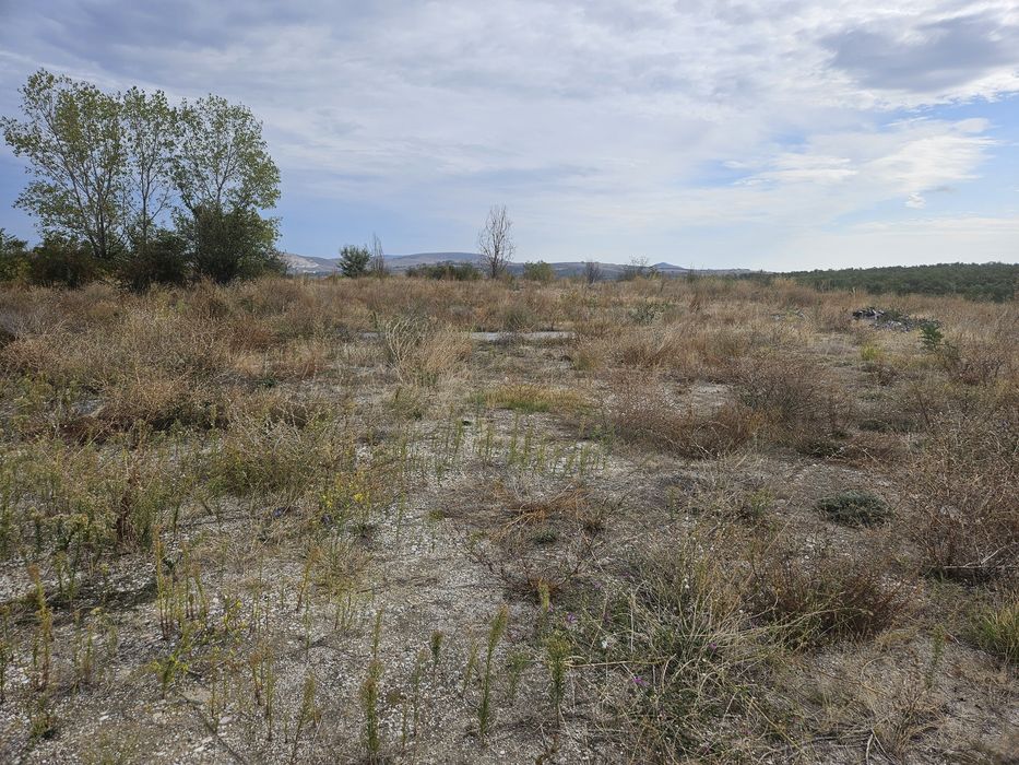 Дава се под наем Парцел в Пещера - 1200 кв.м за 306 € - Снимка #3