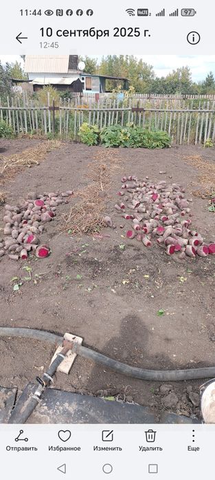 Продаётся дача  ПК "Черемушки"