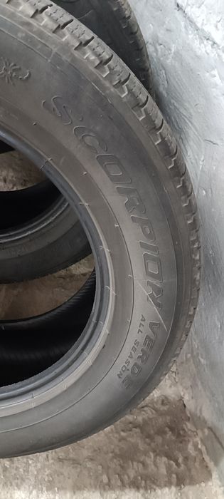 Продам резину  PIRELLI