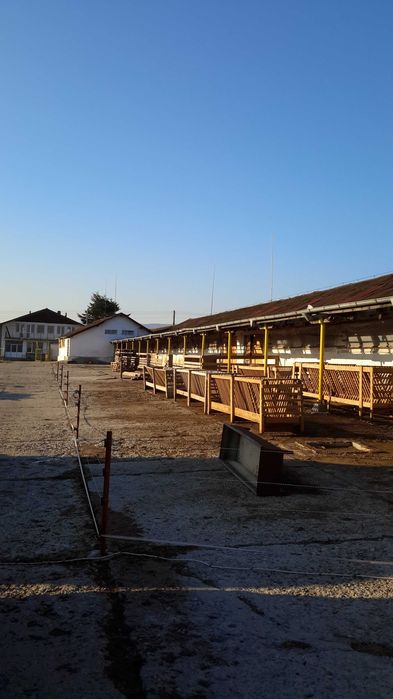 Дава се под наем Склад в с. Студена, Област Хасково - 6000 кв.м за 81600 € - Снимка #6