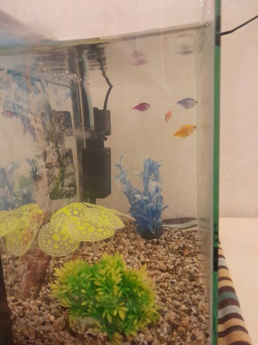 Продам аквариум, 18 литровый