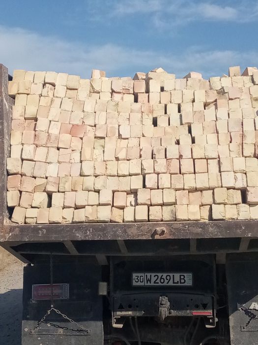 Gʻisht paltarashka kattaqoʻrgʻin