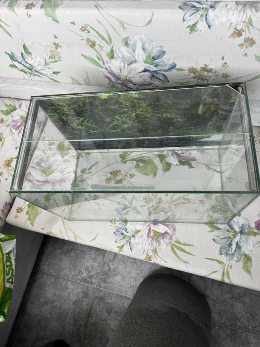 20 литров аквариум