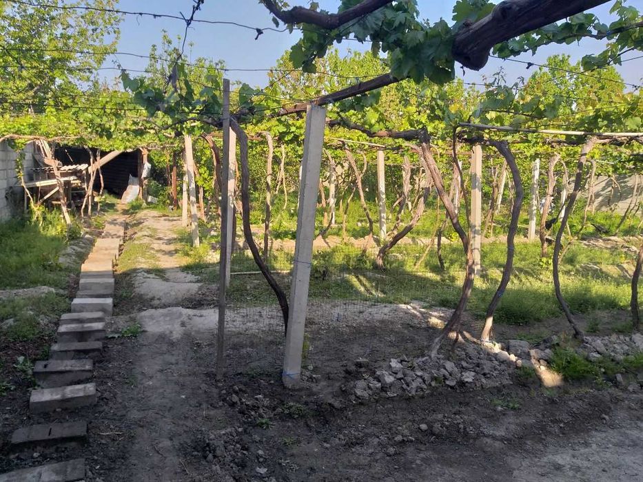 Qumtepa bozori oldida Hovli uy sotiladi