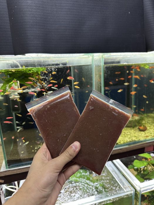 Дафния(МОИНА), заморозка. Есть опт