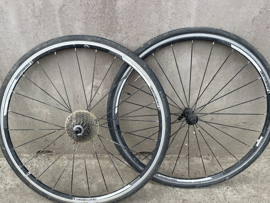 Roti cursiera bontrager