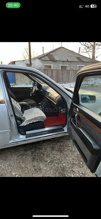 Продам кабана срочно