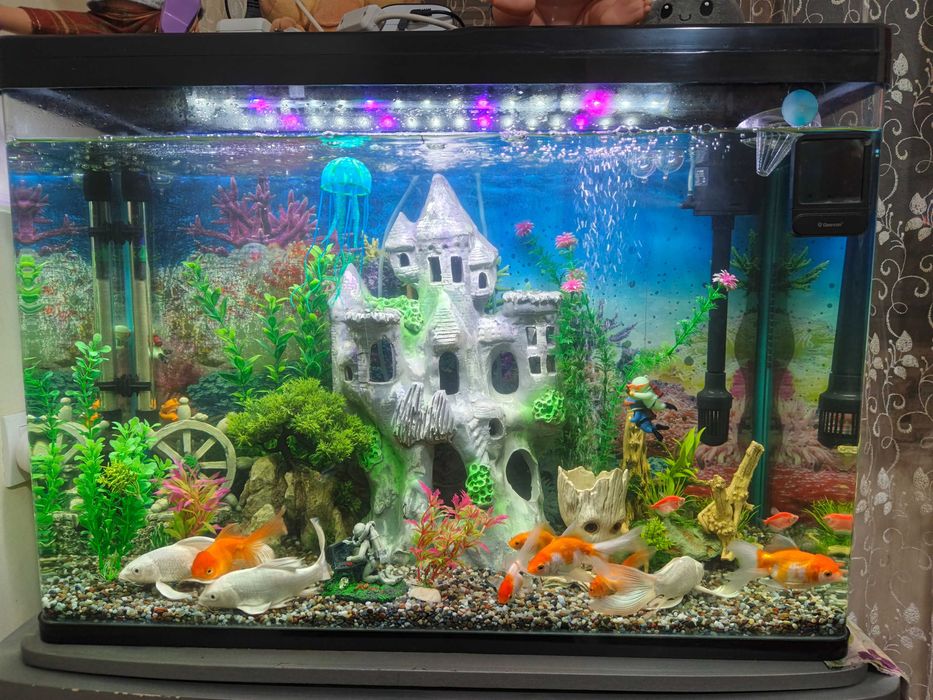 Аквариум с рыбками и декорация