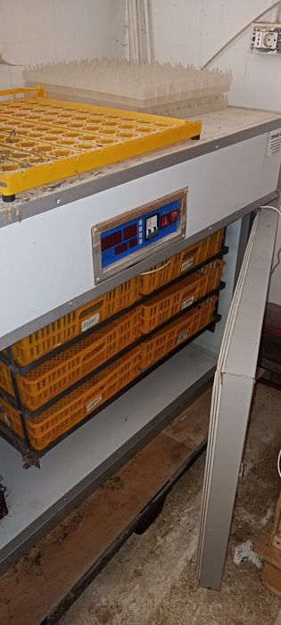 Vând incubator automat 540 de oua găină