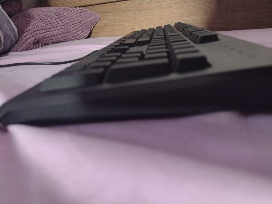 Tastatură gaming Raizer cynosa lite
