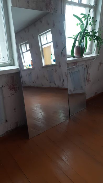 Срочно нужно продать  цветы
