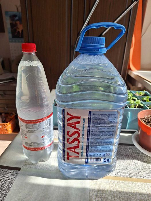 Свежий берёзовый сок по 300 тенге/литр