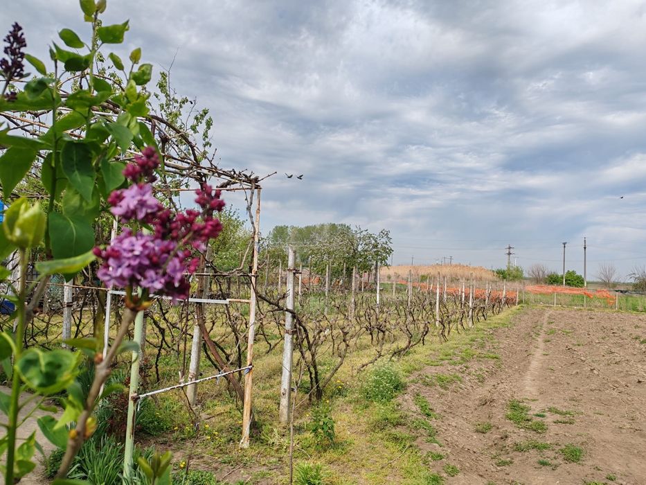 Vand , inchieiez casa gropeni