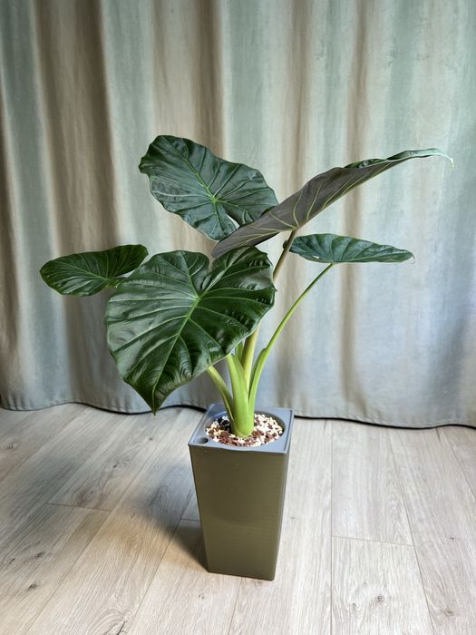 Горшок для растений