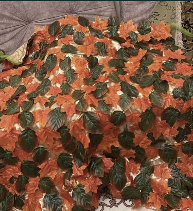 НАКИДКА,Корона на осенний бал