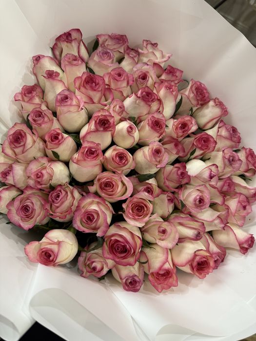 Продам свежие розы!